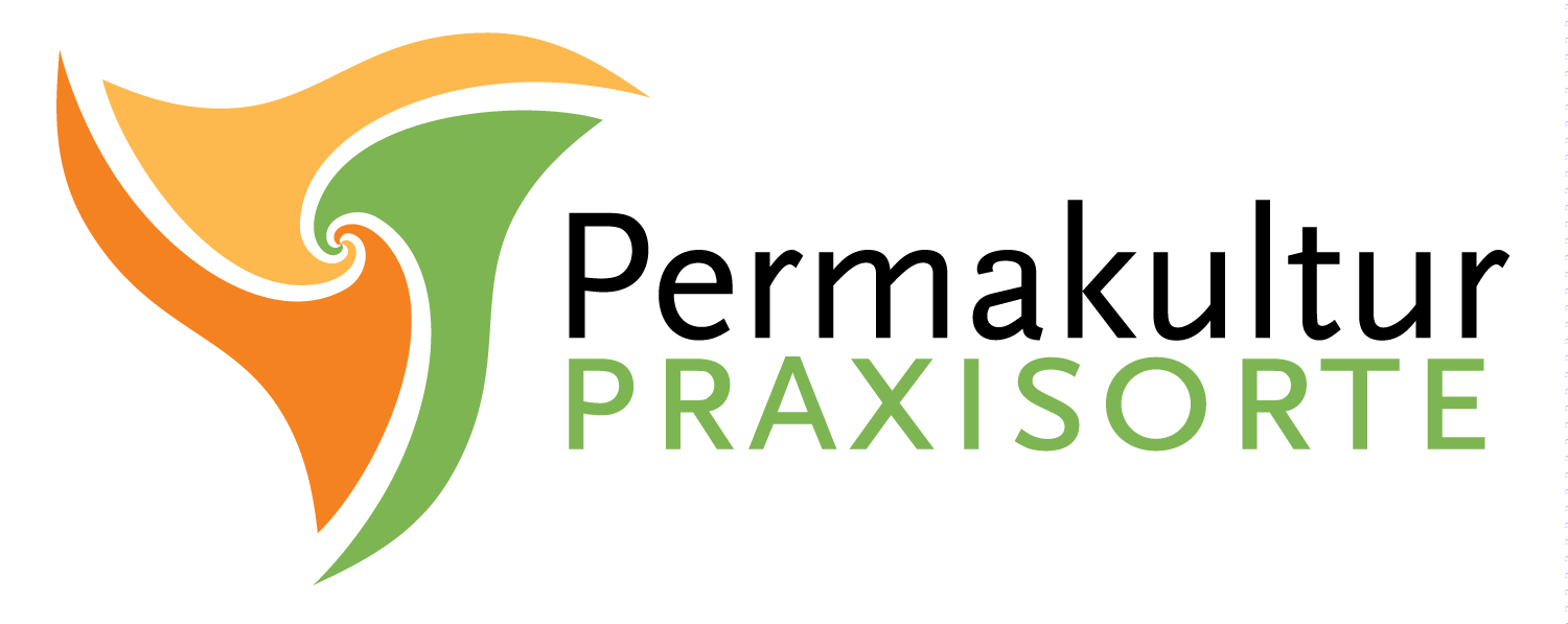 Logo_PKI_-_Praxisorte.png