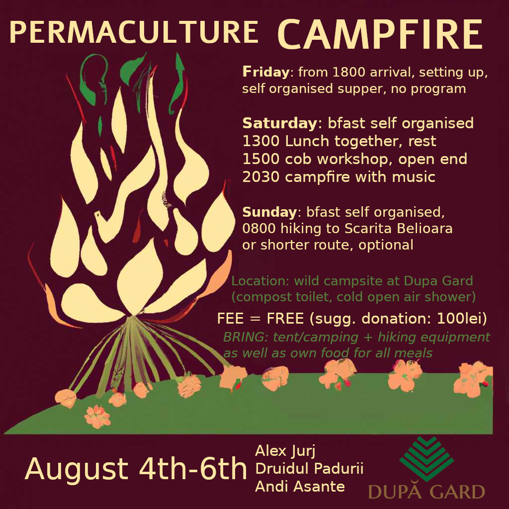 permaculture campfire.jpg