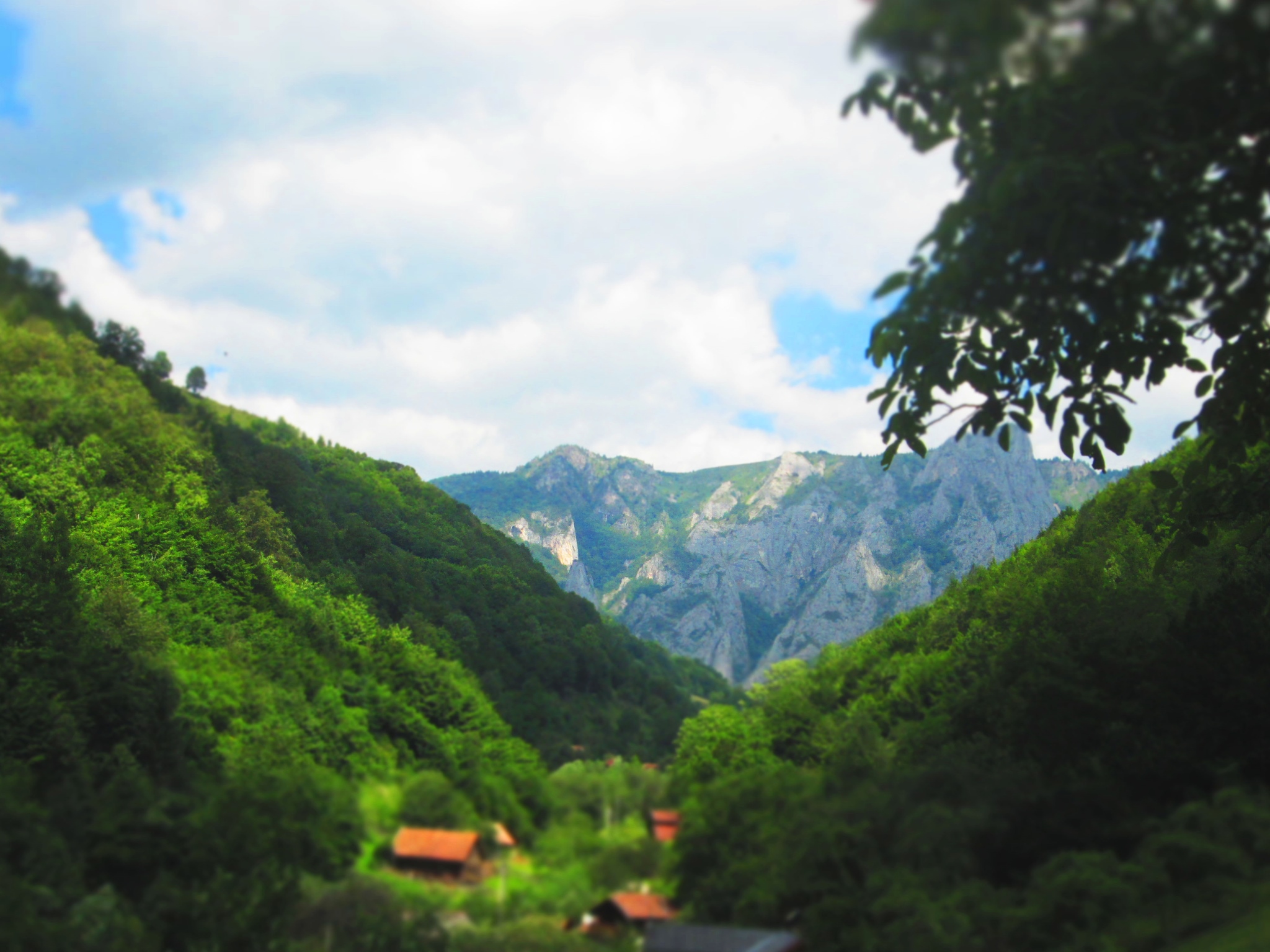 Naturschutzgebiet